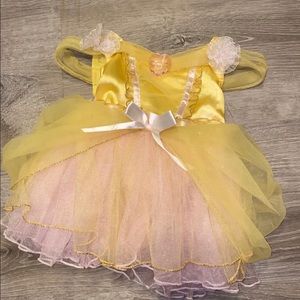 Disney Princess Photo Prop